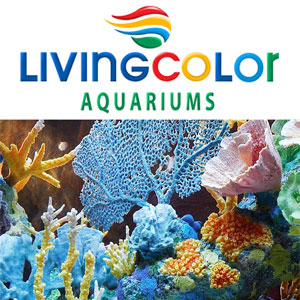 Living Color Aquariums