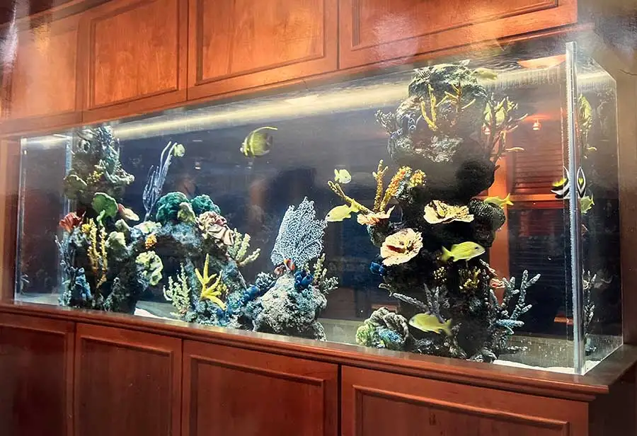350 Gallon Marine Aquarium in Warrensburg NY